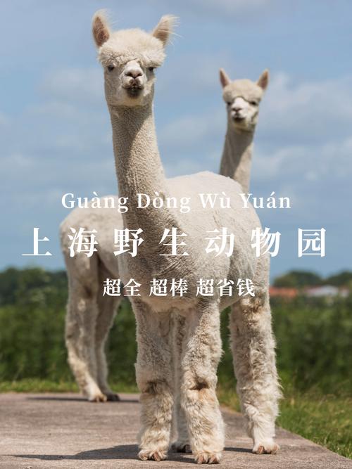 上海野生动物园行李寄存