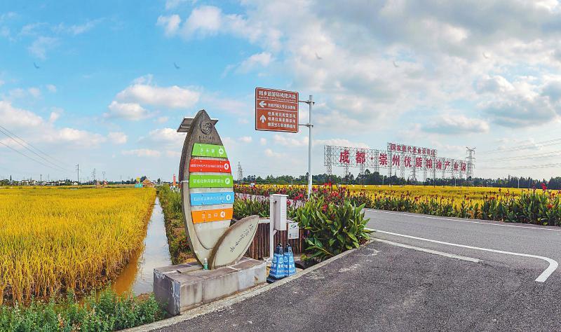 成都到观音镇的汽车时刻表