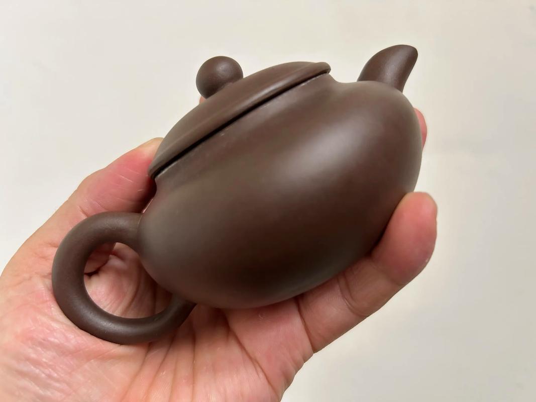 紫砂壶壶底有一层白色