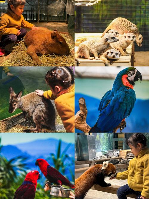 北京动物园都有什么动物