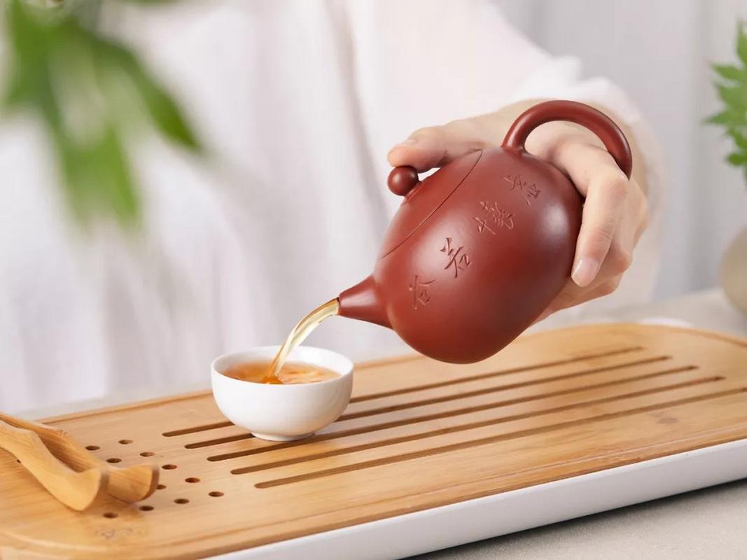 紫砂壶泡铁观音可以吗