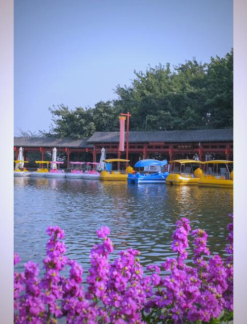 成都新津花舞人间门票多少