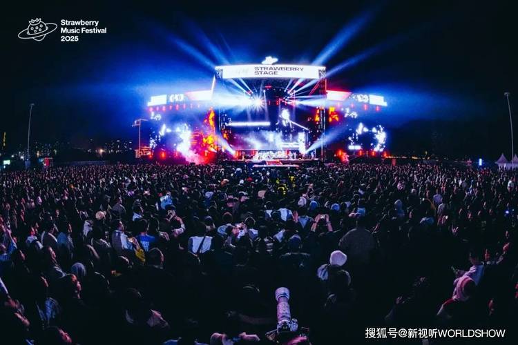 草莓音乐节2025上海