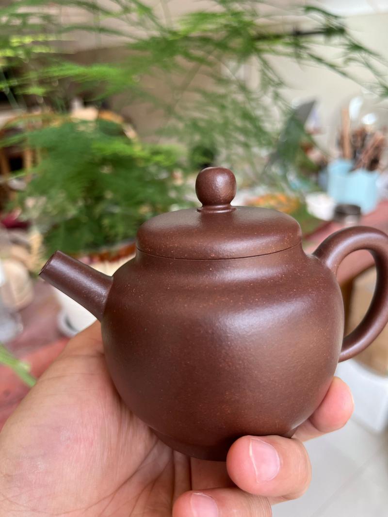 方华君乐家购物紫砂壶