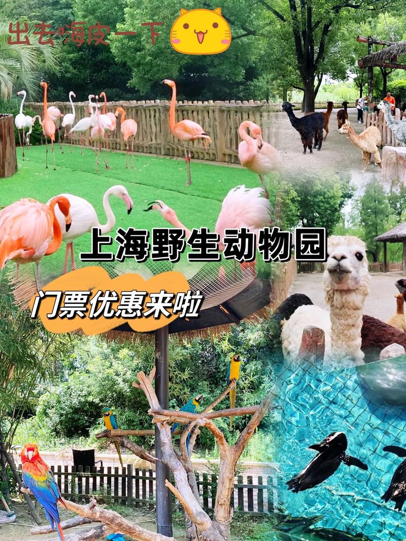 上海野生动物园门票优惠