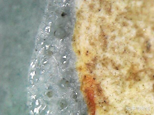 宋代龙泉窑瓷器气泡图