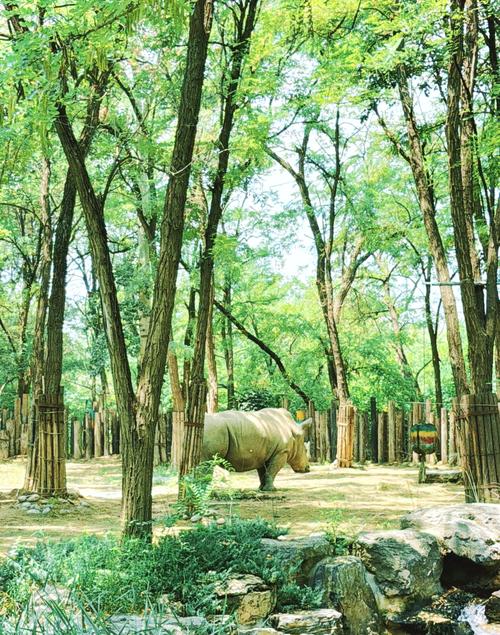 北京八达岭野生动物世界