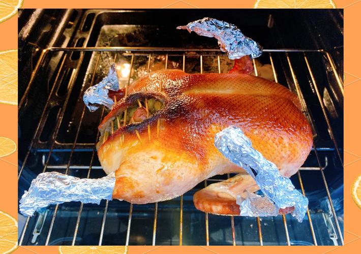 北京烤鸭可以带上飞机吗