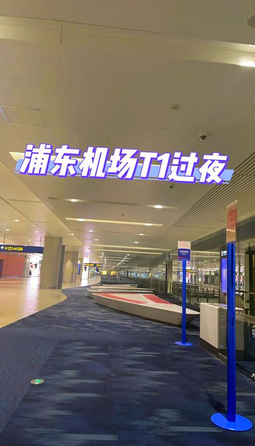 上海浦东机场t1航站楼