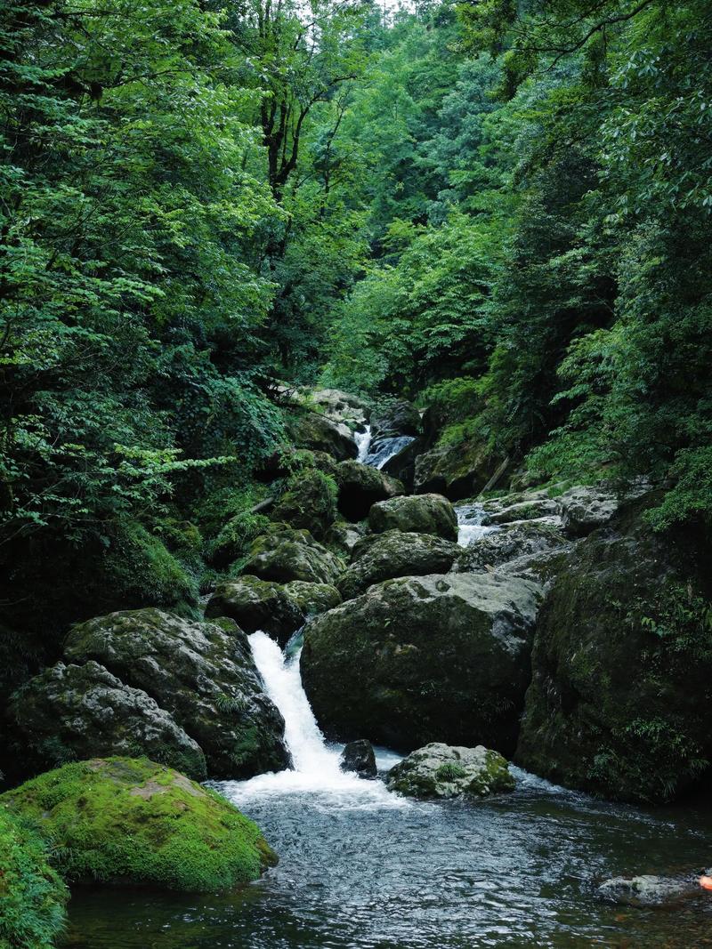 成都周边避暑旅游景点大全