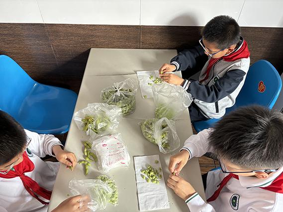 上海市实验学校附属小学