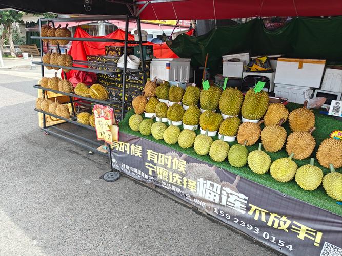 成都的水果批发市场在哪里