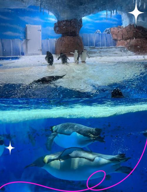 成都海昌极地海洋公园图片