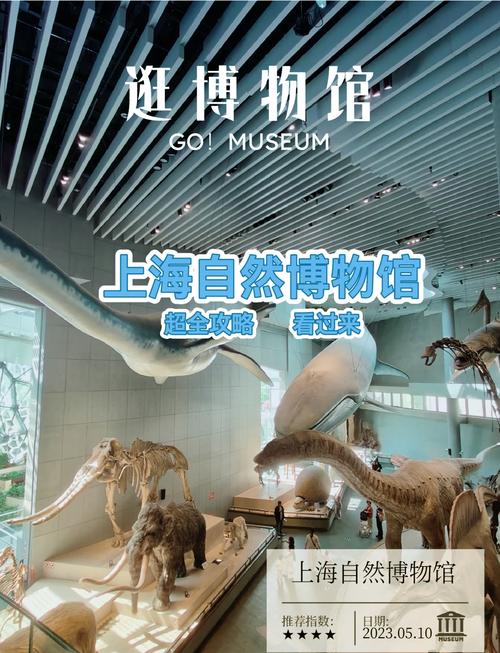 上海自然博物馆开放时间