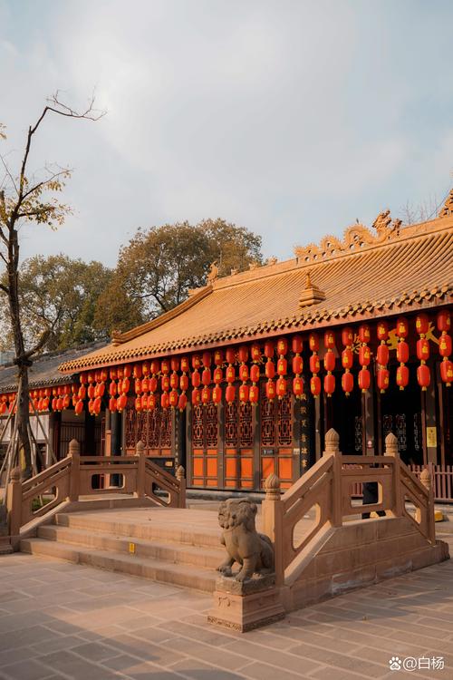 成都市区好玩的地方有哪些