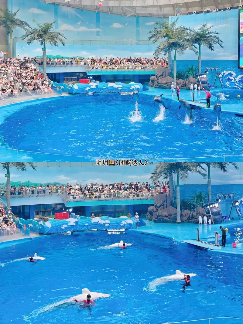 成都极地海洋公园门票优惠