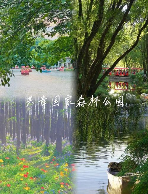 上海森林公园门票多少钱