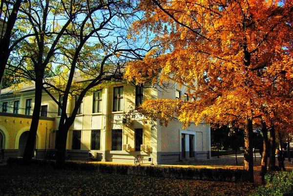 北京科技大学外国语学院