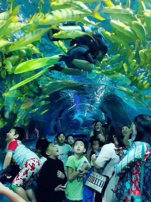 上海海洋世界门票多少钱