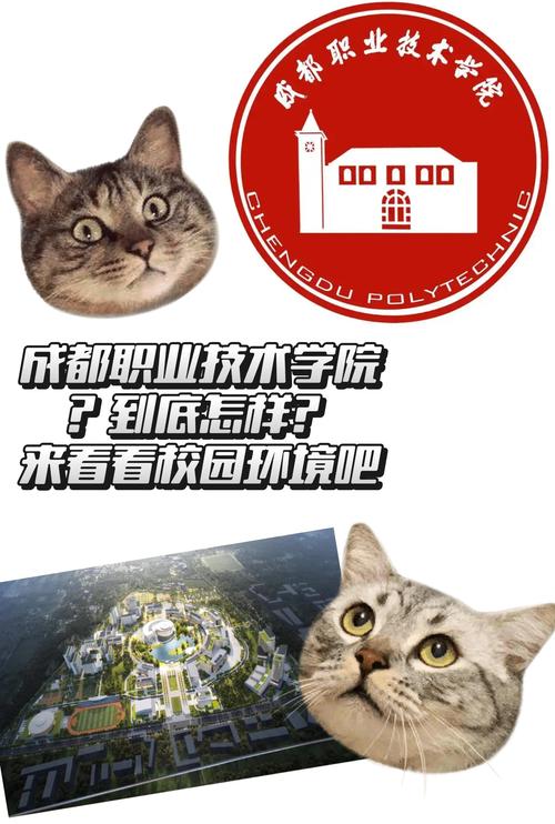 成都职业技术学院青羊校区