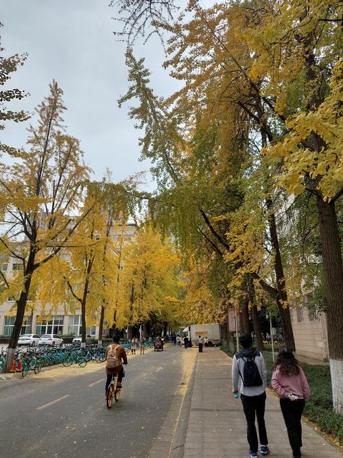 成都电子科技大学沙河校区