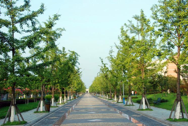 成都信息工程学院银杏学院