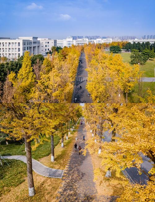 成都信息工程学院银杏学院