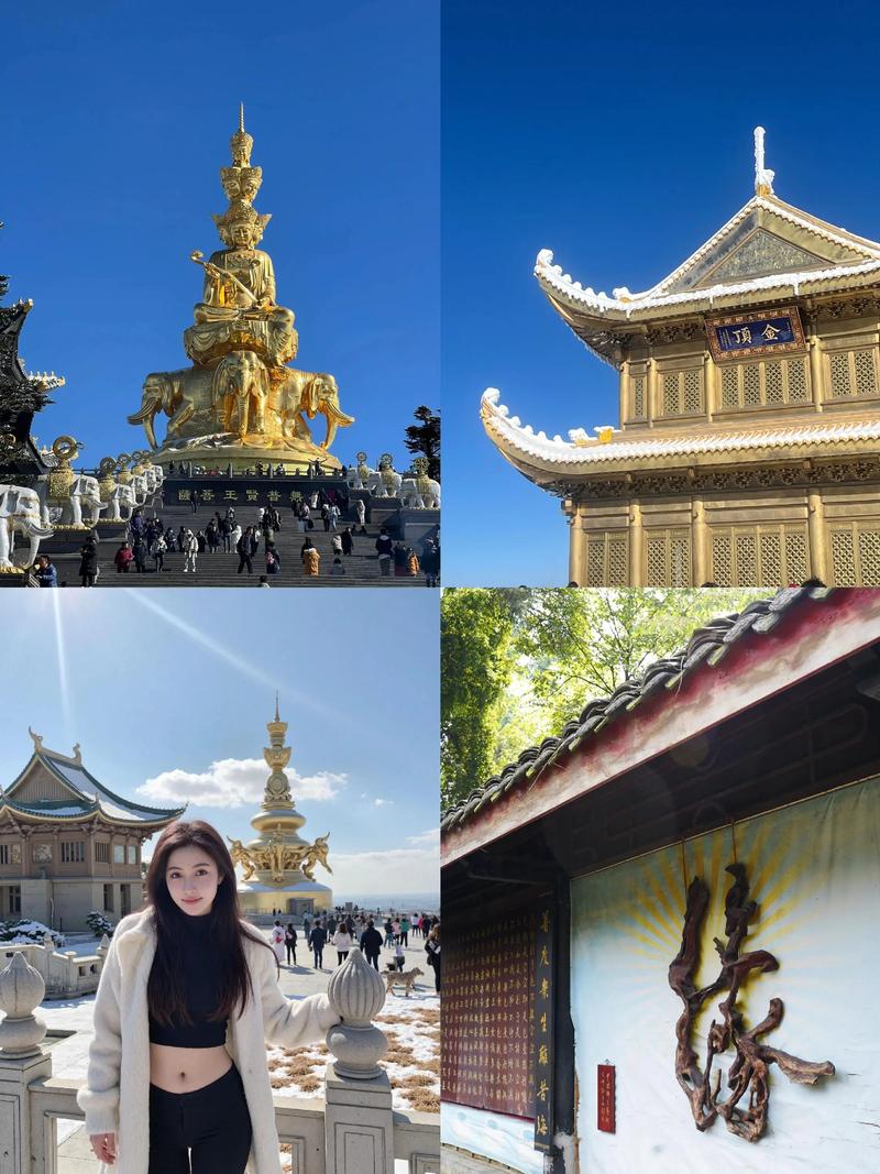 成都到乐山大佛一日游跟团