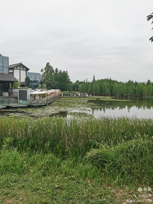 成都三圣乡白鹭湾湿地公园