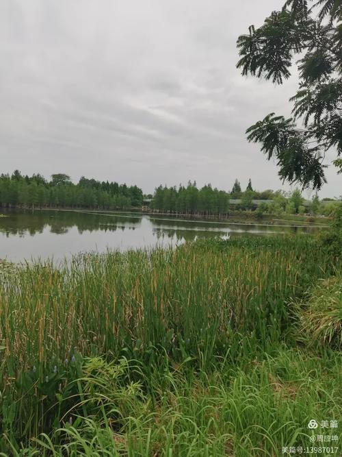 成都三圣乡白鹭湾湿地公园