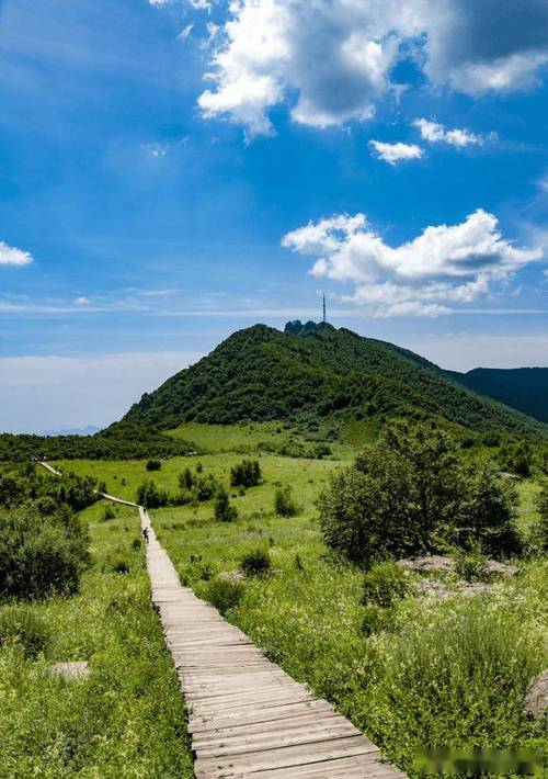 北京百花山自然风景区