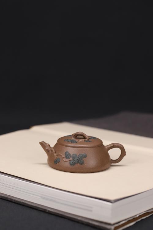 张志滨紫砂壶大师介绍