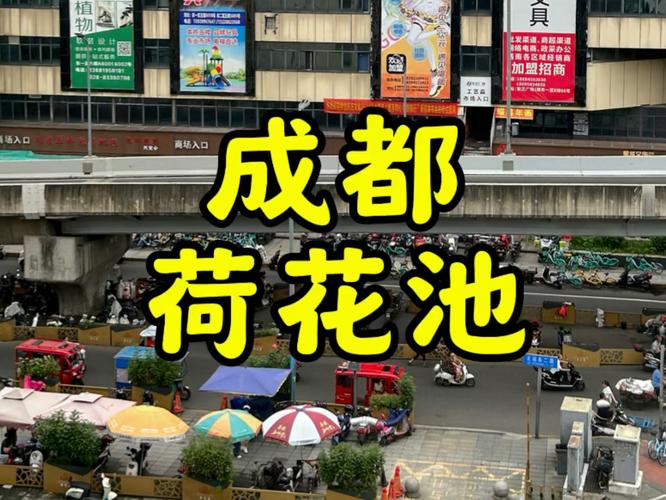 成都荷花池中药材批发市场