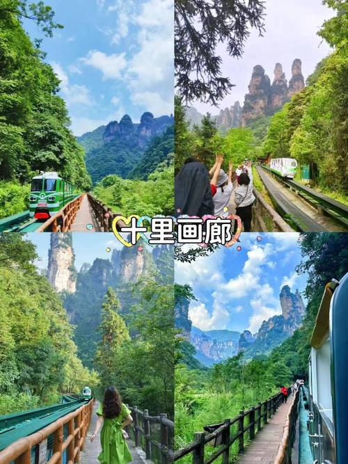 成都到张家界6天自驾游