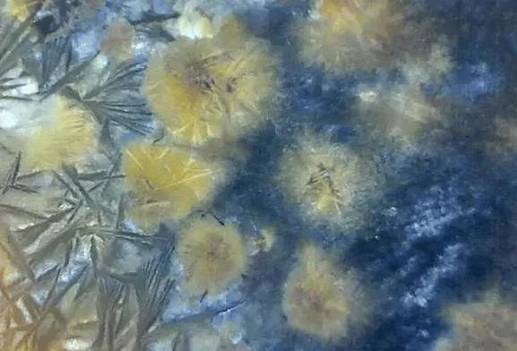 出土龙泉窑瓷器的气泡