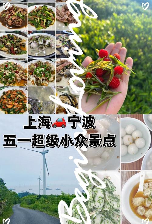 宁波到上海自驾游攻略