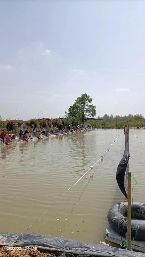 2025年成都野钓地点