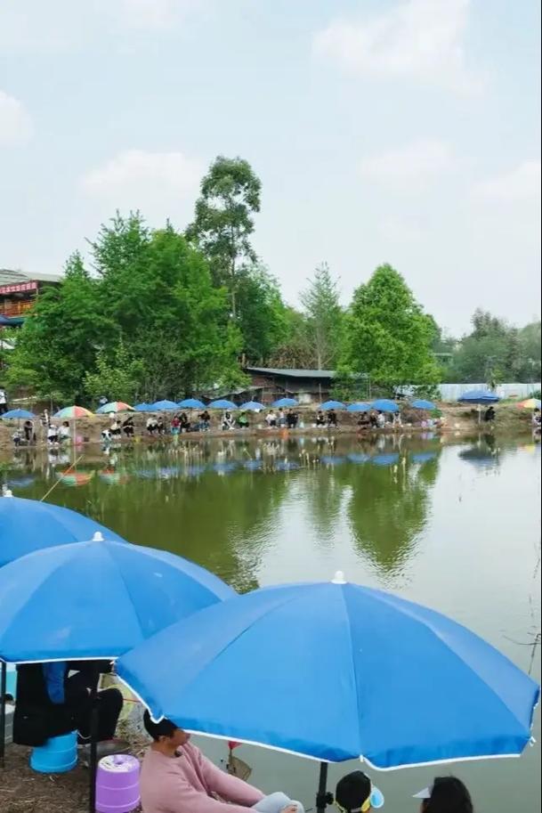 2025年成都野钓地点