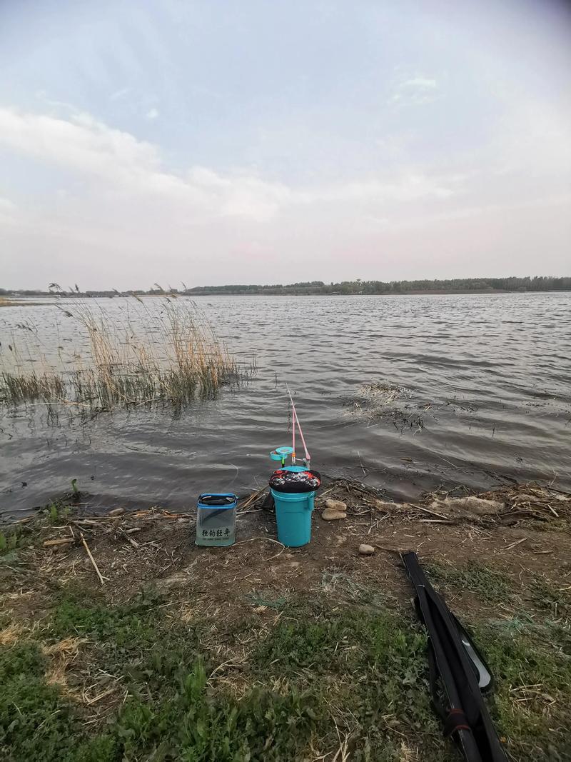 2025年成都野钓地点