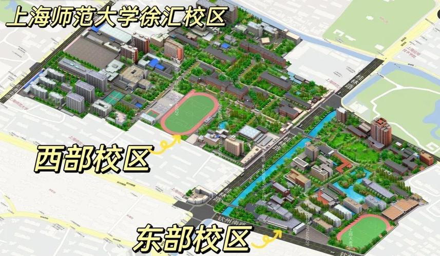 上海师范大学在哪个区
