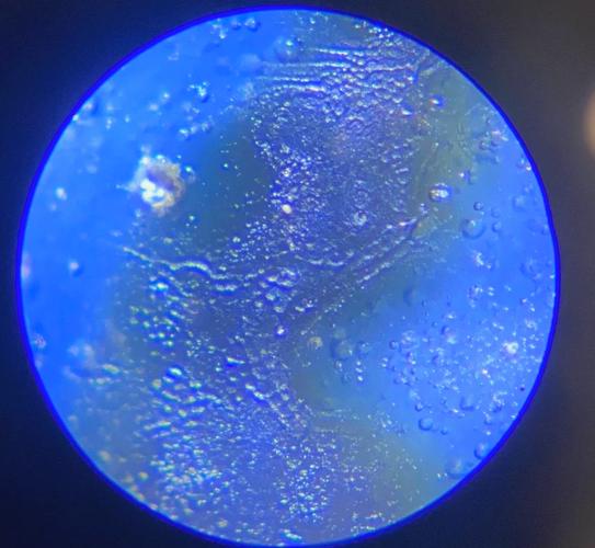 清朝瓷器会有铁锈斑吗