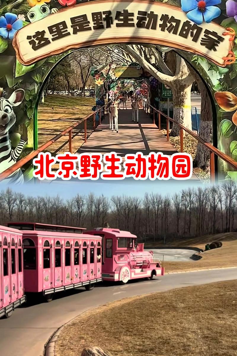 北京动物园多久能逛完