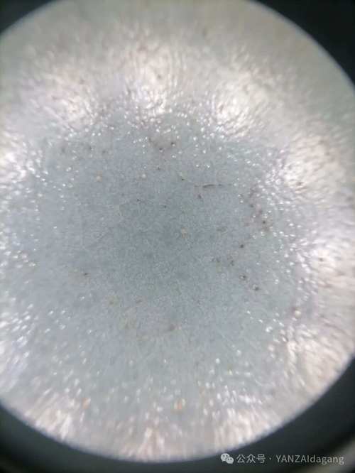 宋代影青瓷器气泡照片