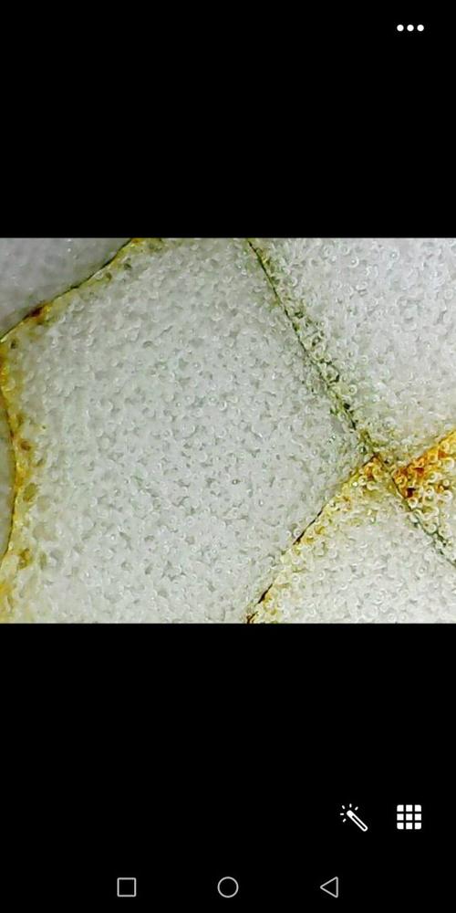 宋代影青瓷器气泡照片