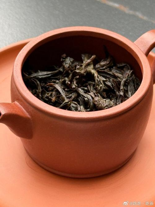 泡岩茶的紫砂壶要多大