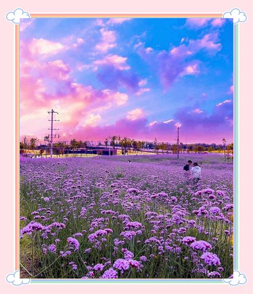 成都太平镇紫颐香薰山谷