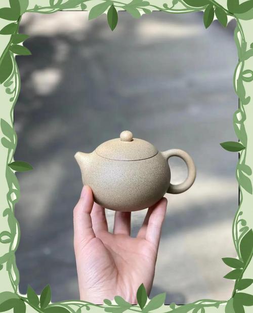 普洱生茶适宜的紫砂壶