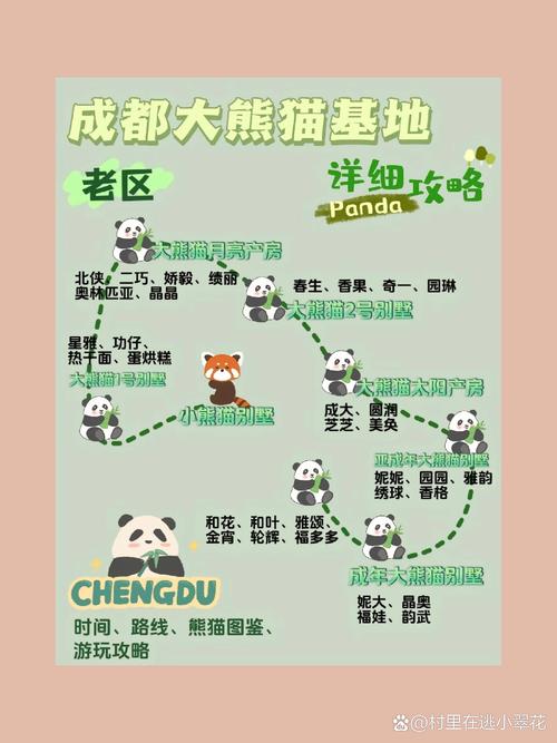 成都大熊猫基地几点去好