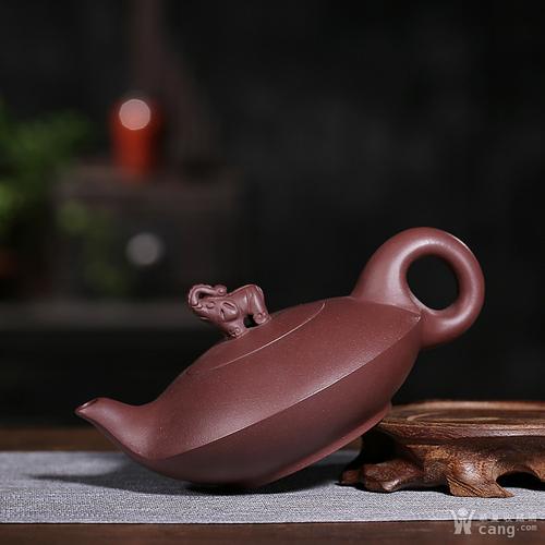 紫砂壶成丽云简历照片