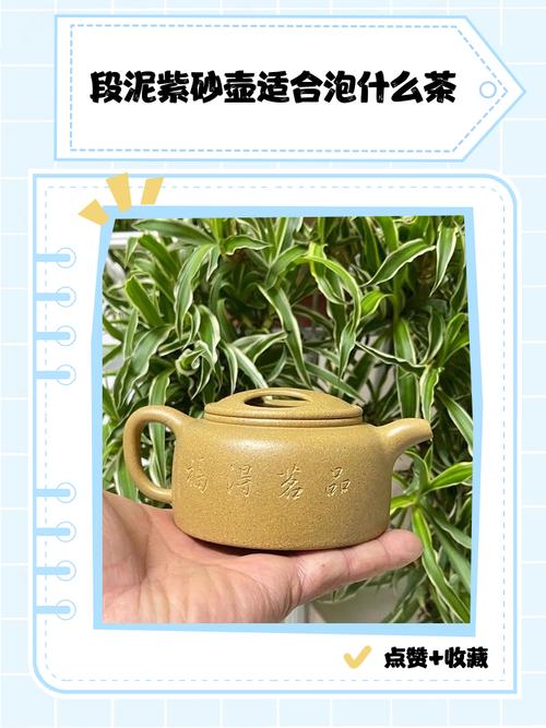 紫砂壶段泥泡什么茶叶
